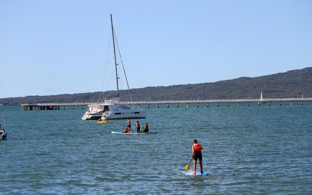 NEWSLETTER No. 4 March