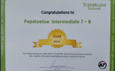 Newsletter No. 19 – 17th November 2022