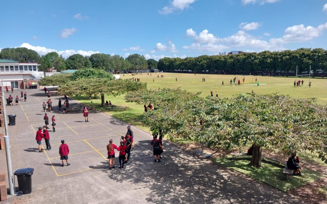 Newsletter No. 2 – 23rd February 2023