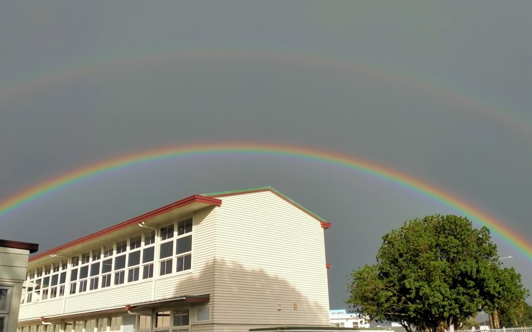 Newsletter No. 10 – 29th June 2023