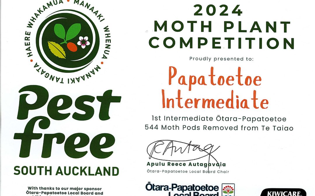 Newsletter No.11 – 25th July 2024