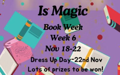 Newsletter No. 18 – 14th November 2024