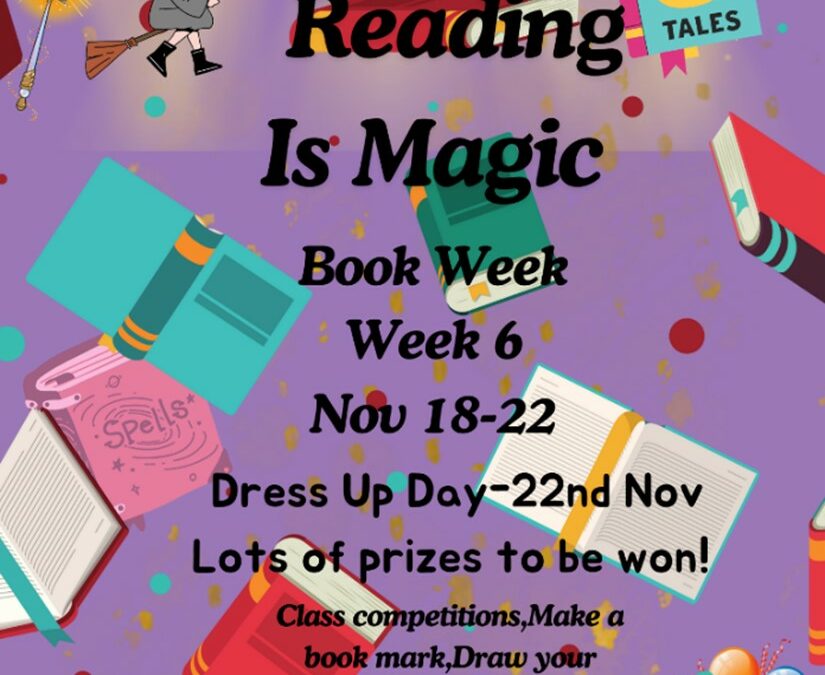 Newsletter No. 18 – 14th November 2024