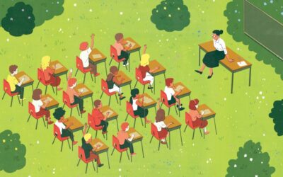 Newsletter No. 2 – 20th February 2025