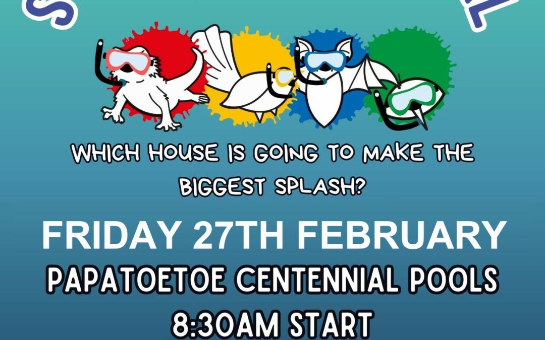 Newsletter No. 2 – 19th February 2026