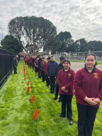 Newsletter No. 6 – 30th April 2026